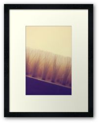 Day 48 - 27th August 2011 - Framed Print