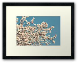 Day 255 - 21st March 2012 - Framed Print