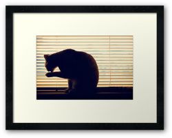 Day 321 - 26th May 2012 - Framed Print