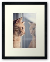 Someone's Watching Me - Framed Print