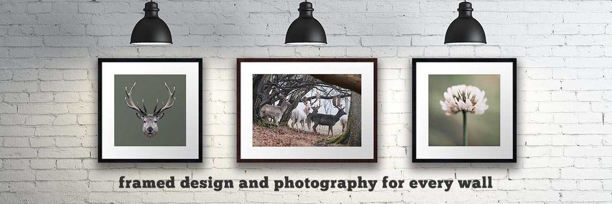 Framed design and photography for every wall