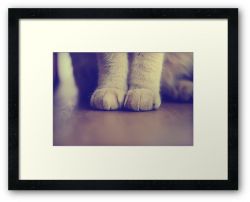 Day 47 - 26th August 2011 - Framed Print