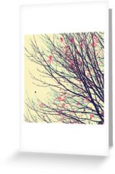 Day 86 - 4th October 2011 - Greeting Card