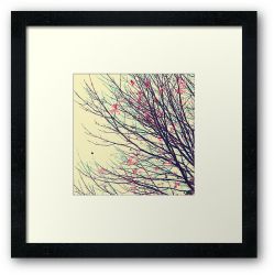 Day 86 - 4th October 2011 - Framed Print