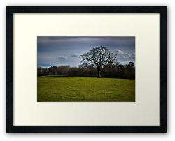 Day 193 - 19th January 2012 - Framed Print