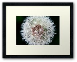 Day 301 - 6th May 2012 - Framed Print