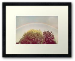 Day 309 - 14th May 2012 - Framed Print