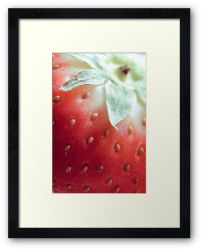 Day 312 - 17th May 2012 - Framed Print
