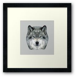 The Wolf - Framed Print