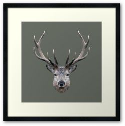 The Stag - Framed Print