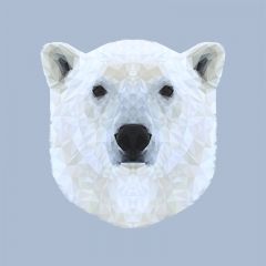 The Polar Bear - Print