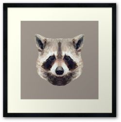 The Raccoon - Framed Print