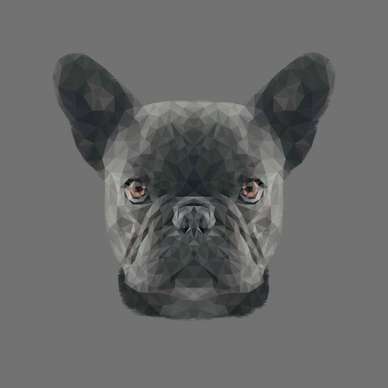 The French Bulldog - Geometric French Bulldog Design