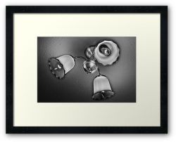 Day 13 - 23rd July 2011 - Framed Print